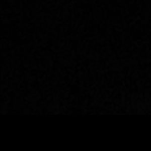 Meet your Posher, Penelope